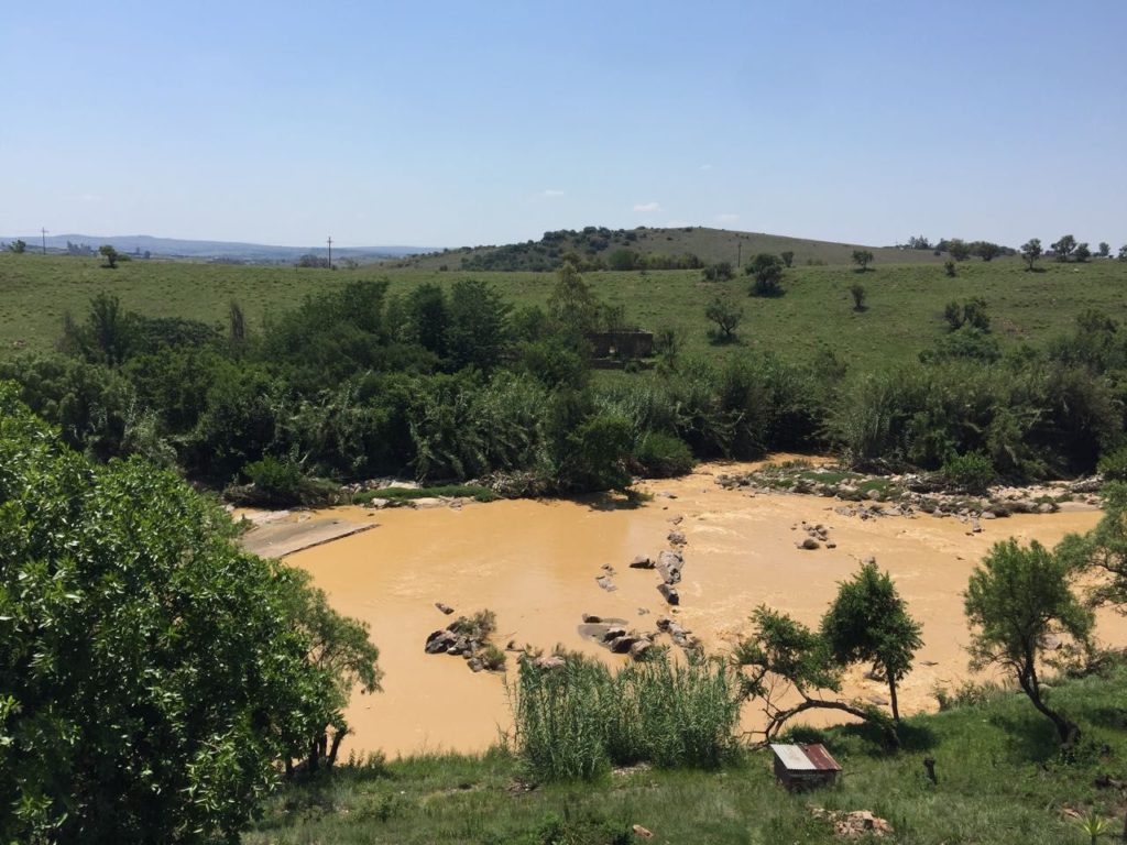 Jukskei-yellow-Dec-2017-1024x768