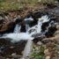 fast-stream-646x433-67x67 - Copy